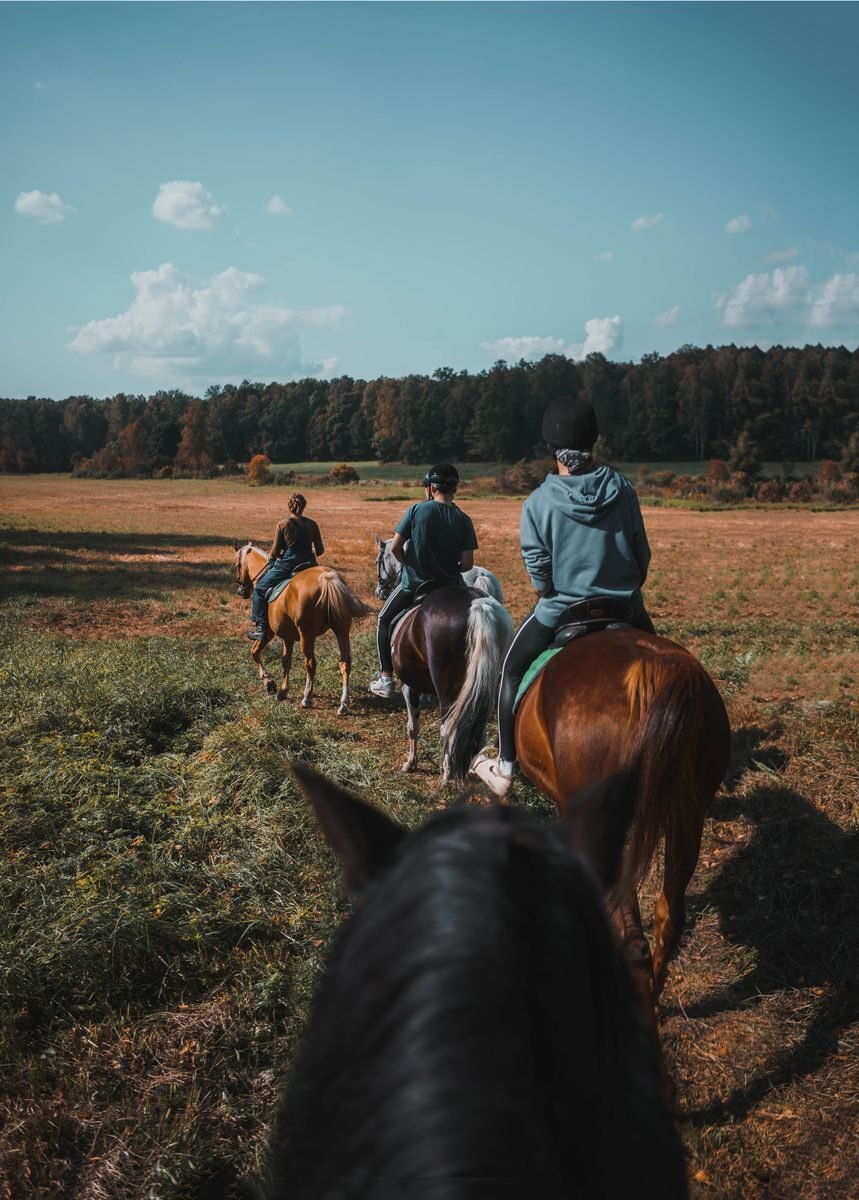 Photo by Anna Kester Group horseback riding through a serene autumn field under a blue sky.